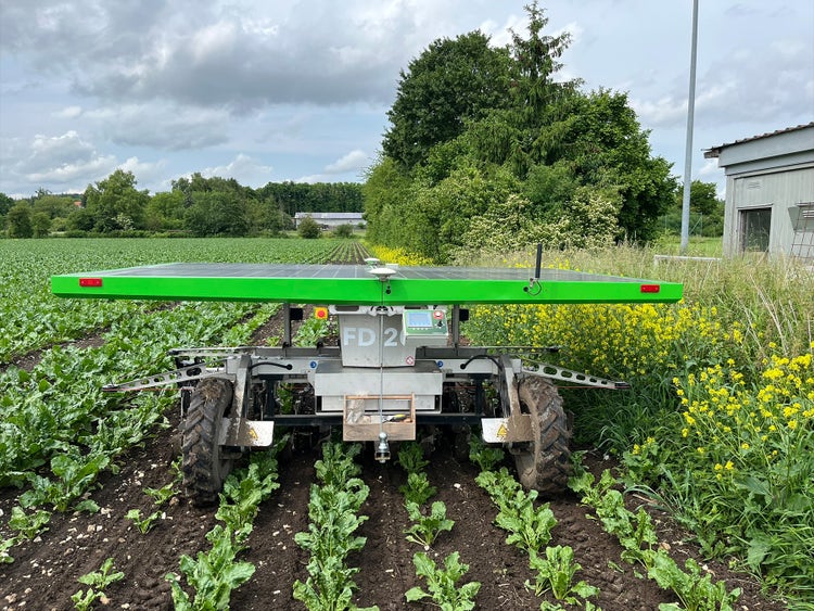 FarmDroid FD20 auf Feld im Hackeinsatz