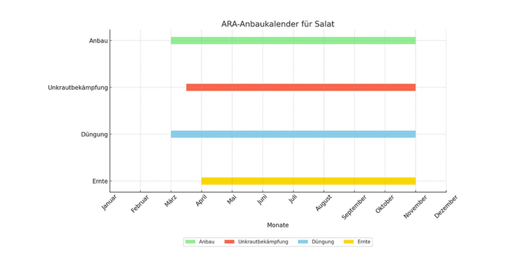 Grafik ARA Anbaukalender für Salat