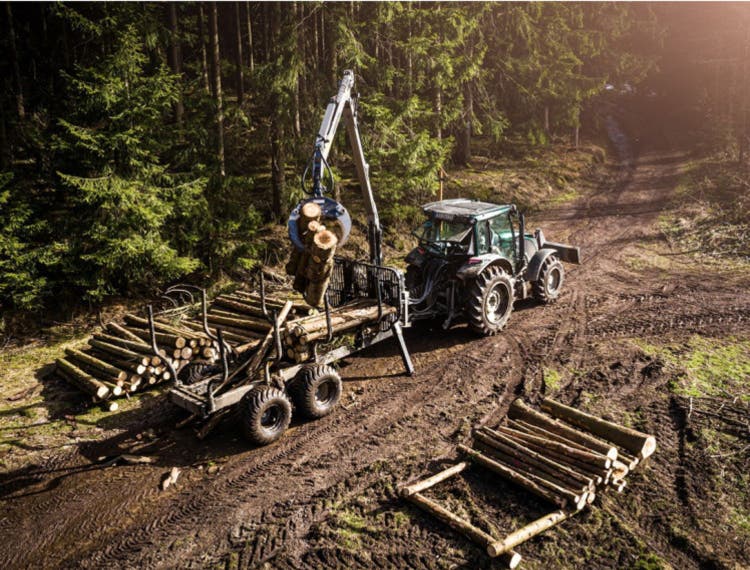 Kran Multiforest V7800 im Wald