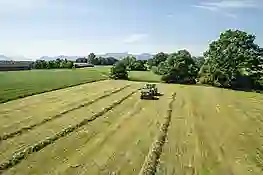 New Holland Traktor auf Wiese mit McHale Presse 