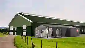 Bild eines Kuhstalls mit einem Lely Orbiter 